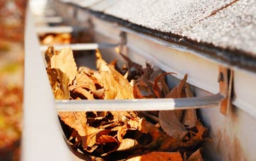 Pheonix Green gutter cleaning companies