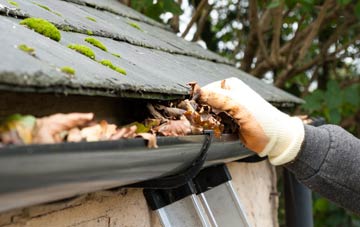 gutter cleaning Pheonix Green, Hampshire