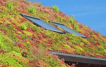 Pheonix Green living roof systems