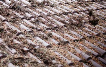 Pheonix Green roof cleaning companies