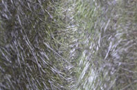 Pheonix Green fibreglass roof work